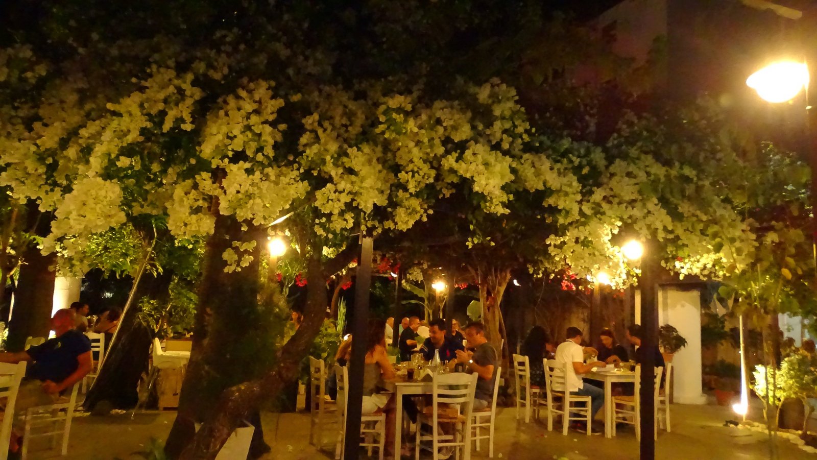 Guests dining beneath trees lit by lanterns